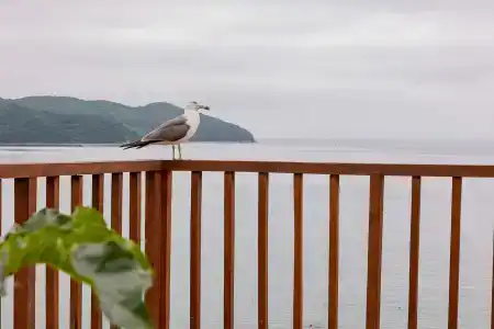 Море - Песок - 26