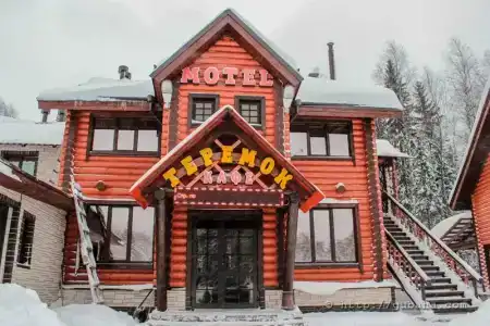 Теремок - 28