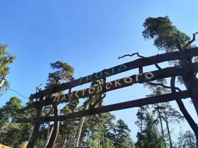 Лесной Бункер - 66