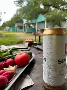 Дуб Зеленый - 5