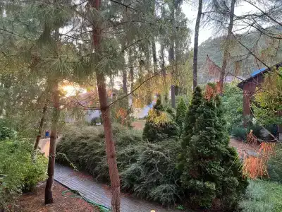 Джанхот - 49
