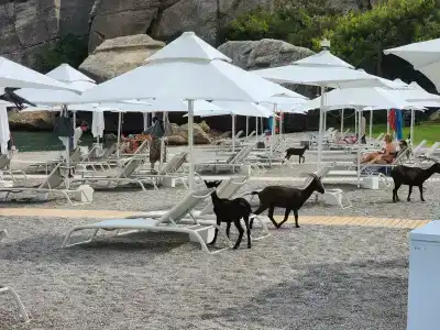 Maxx Royal Kemer Resort - 25