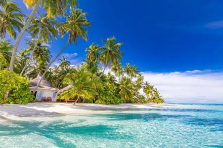 Sun Siyam Vilu Reef - 4