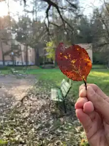 Мать и дитя - 47