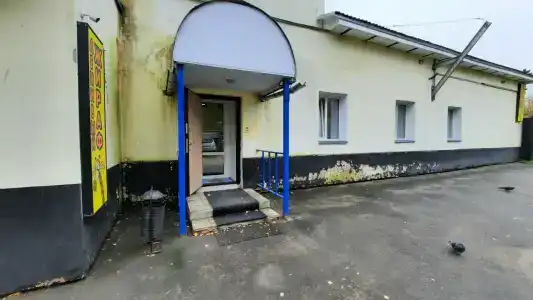 Ленивый жираф - 48