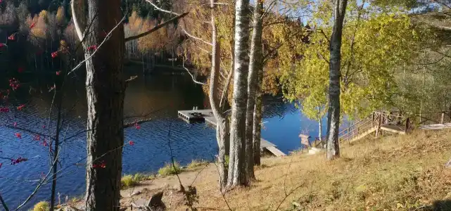 Карельские Лага - 83