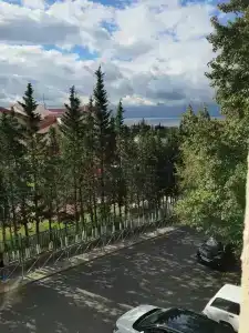 Пушкин - 51