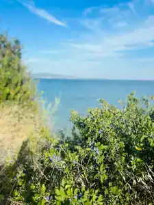 Загородный отель Мысхако - 42