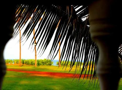 Vgp Golden Beach Resort - 79