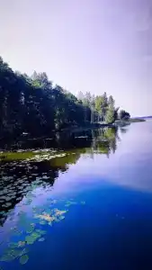 Волна - 89