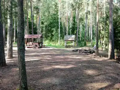 Турстоянка Ровненький борок - 0