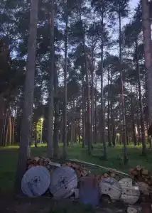 Усадьба помещика Гуляева - 45