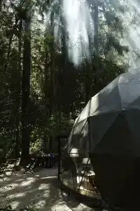 Villy Uley Karelia (Вили Улей Карелия) - 47