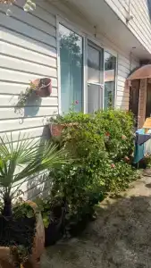 Усадьба Пантелея - 37