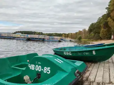 Аленушка - 22