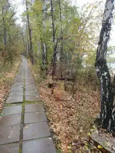 Лесное озеро - 49