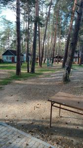 Республика Гайдар - 23
