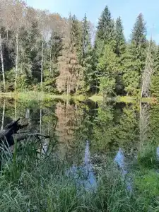 Кристалл - 98