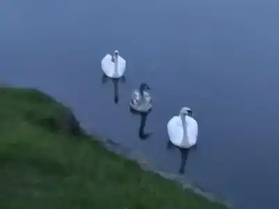 Вилла Татьяна Верхнеозерная - 28