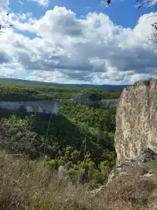 Коккоз - 24