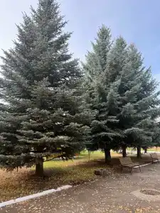 Нефтяник - 17