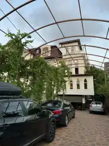 Орхидея - 27