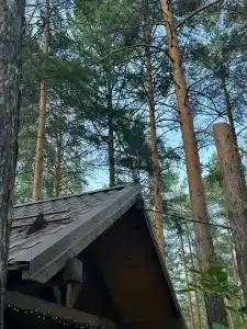 Дача Сосны-Лес - 20
