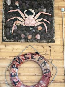 Cedar Grass Териберка - 86