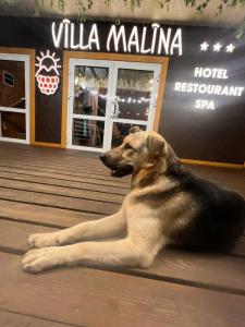 Вилла Малина - 52