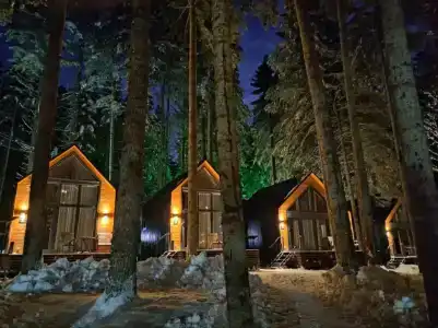 Barn&Wood - 69