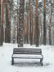 Берендей - 18