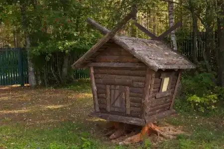 Карельская рябина - 4
