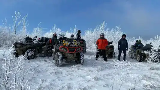 Дикий аист - 49