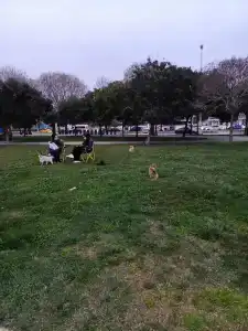 The Green Park Pendik - 87