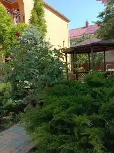Ангелина - 2