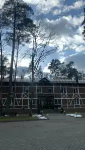 Кедровый Бор - 46