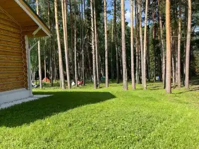 Звезда - 49