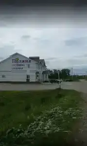 Поляна - 8