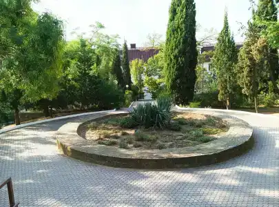 Сокол - 15