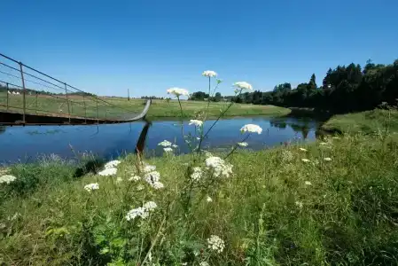 Рузская Аляска - 10