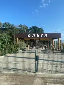 Пансионат Ольга - 46