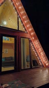 Хвойный Лес - 99