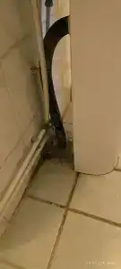 Пансионат Алмаз - 97