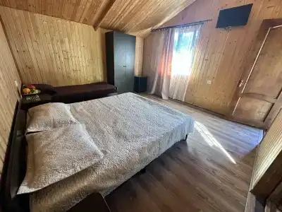 Камелия - 32