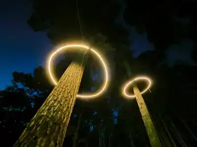Magic Wood - 17