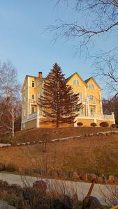 Amur Resort - 43