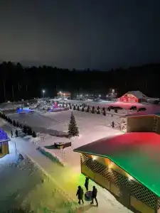 Сосновый - 2
