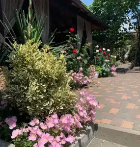 Садорини - 2