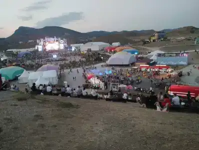 Судак-тудак - 17