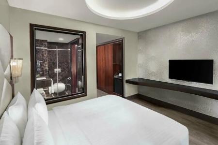 DoubleTree by Hilton Istanbul Esentepe - 96